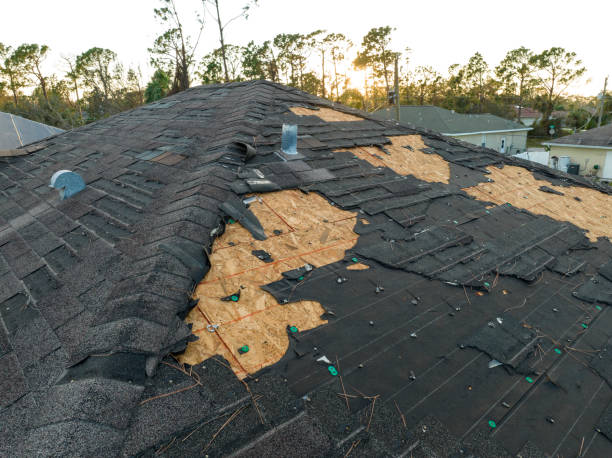 Best Roof Insulation Installation  in Centerburg, OH